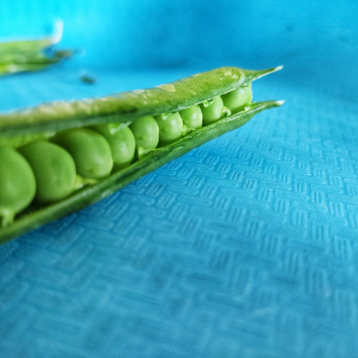 Peas in a pod